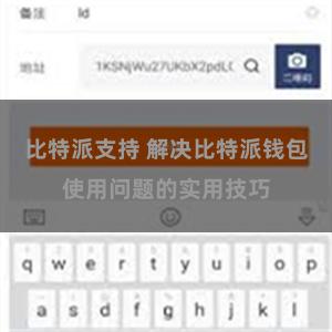 比特派支持 解决比特派钱包使用问题的实用技巧
