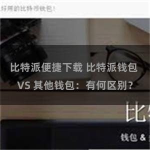 比特派便捷下载 比特派钱包 VS 其他钱包:有何区别?