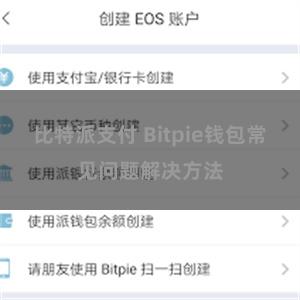 比特派支付 Bitpie钱包常见问题解决方法