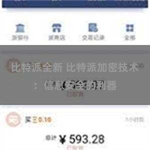比特派全新 比特派加密技术:信息安全的利器