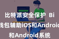 比特派安全保护  Bitpie钱包辅助iOS和Android系统