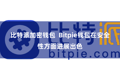 比特派加密钱包  Bitpie钱包在安全性方面进展出色