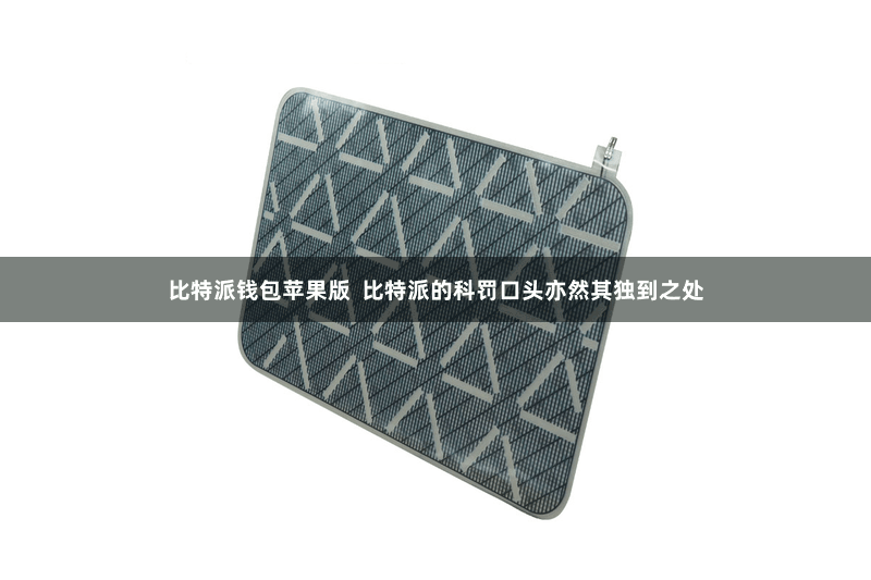 比特派钱包苹果版  比特派的科罚口头亦然其独到之处