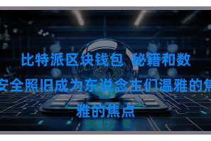 比特派区块钱包  秘籍和数据安全照旧成为东说念主们温雅的焦点